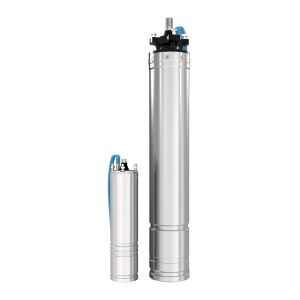 FMO4 / FMO6
